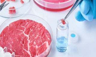 Лабораторный анализ пищевых продуктов по СанПиН в Улане-Удэ в октябре