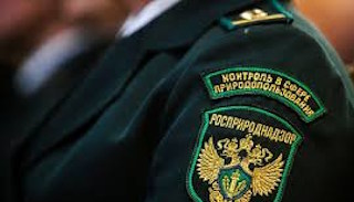 Подготовка к проверке Росприроднадзора в Улане-Удэ от ПромМир, стоимость услуги от 20486 руб.